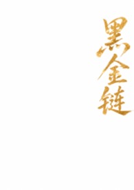 黑金链条斜挎包大容量