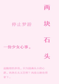 两块石头小说无删减